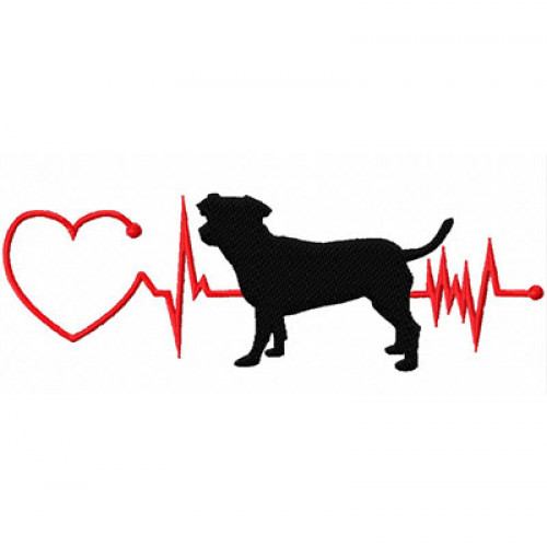 heartbeat teddies for dogs